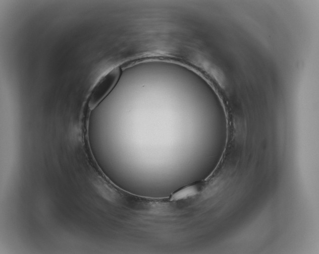 X0000111631308200907241042