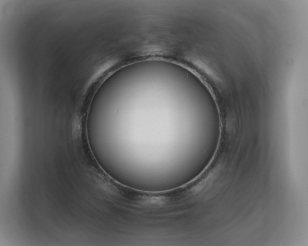 X0000111631309200907241042