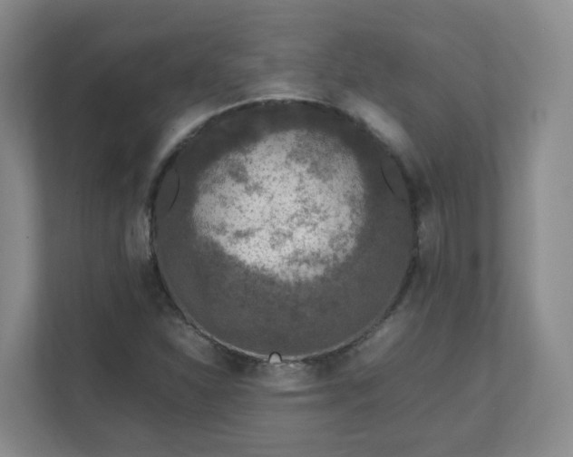 X0000111631310200907241042