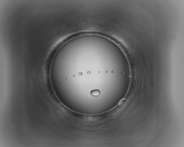 X0000111631311200907241042