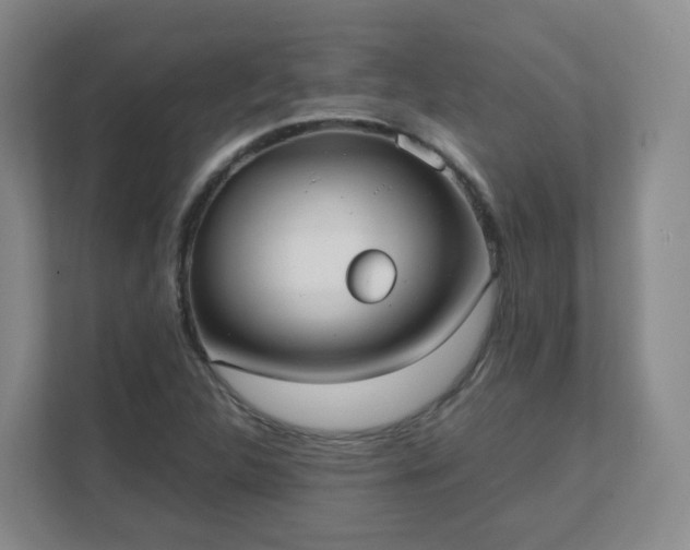 X0000111631312200907241042