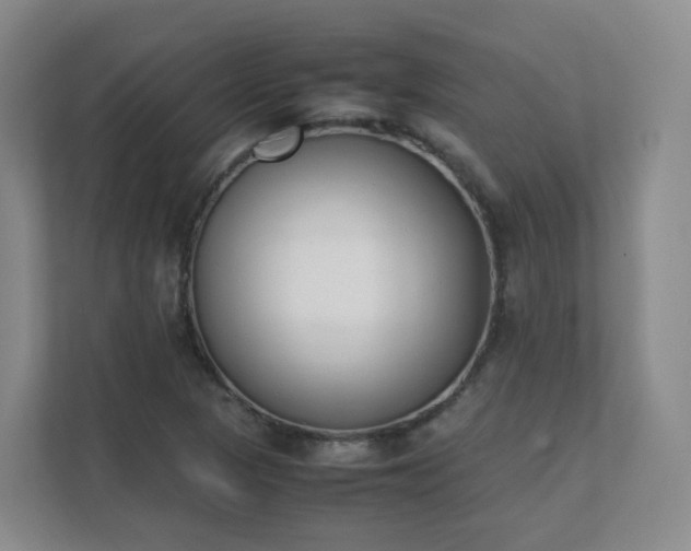 X0000111631313200907241042