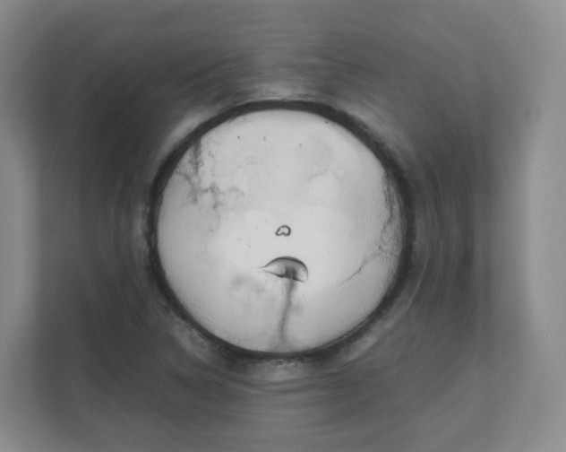 X0000111631314200907241042