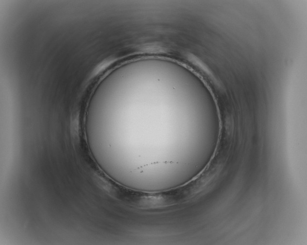 X0000111631315200907241042