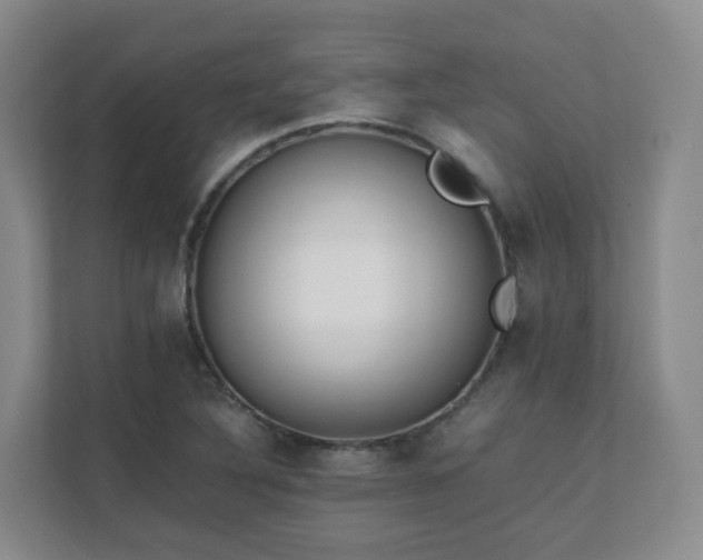 X0000111631316200907241042