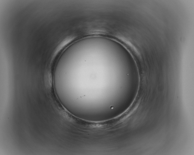 X0000111631317200907241042