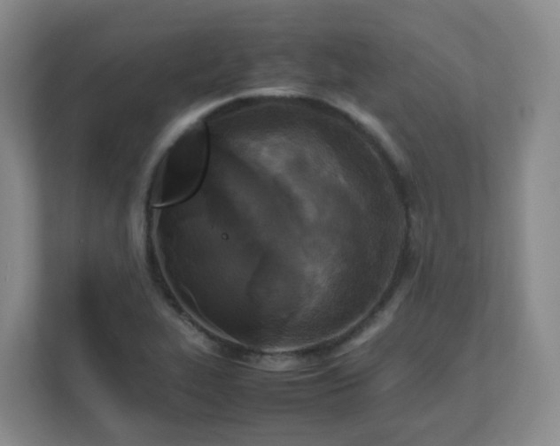 X0000111631319200907241042