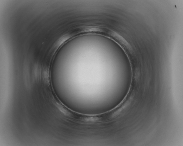 X0000111631321200907241042