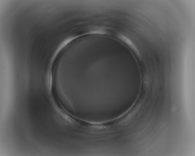 X0000111631323200907241042