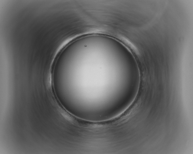 X0000111631324200907241042