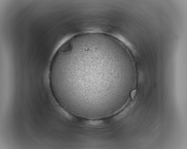 X0000111631325200907241042