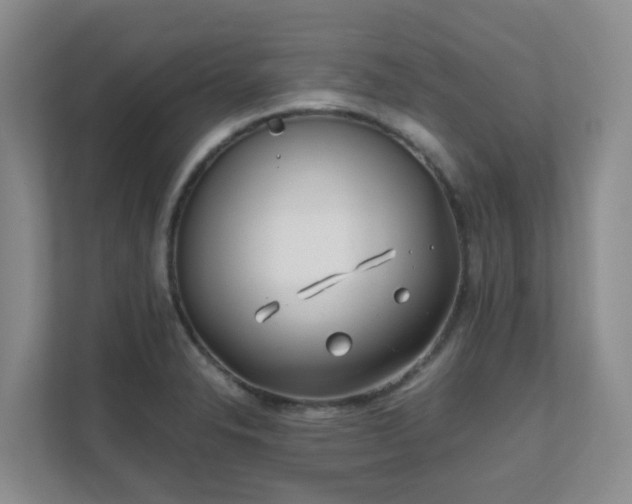 X0000111631326200907241042