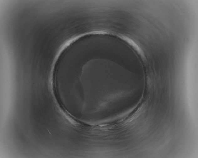 X0000111631327200907241042