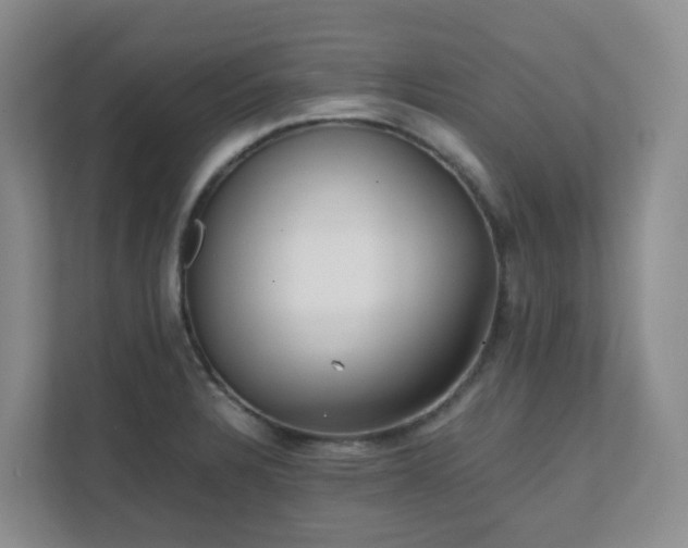 X0000111631328200907241042