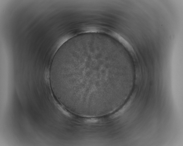 X0000111631329200907241042