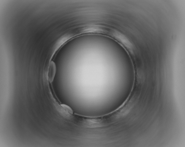 X0000111631330200907241042