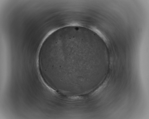 X0000111631331200907241042