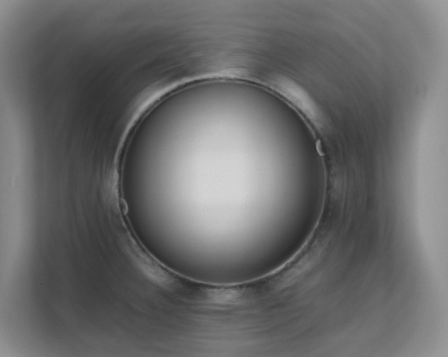 X0000111631332200907241042