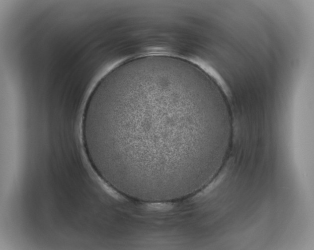 X0000111631333200907241042