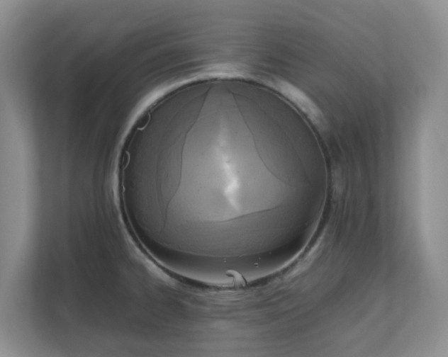 X0000111631334200907241042