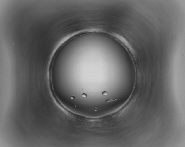 X0000111631335200907241042