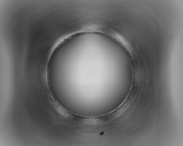 X0000111631336200907241042