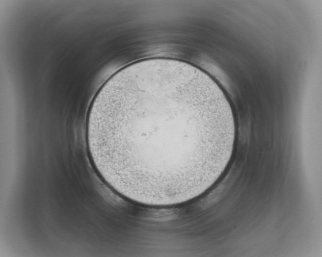 X0000111631338200907241043