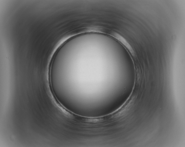 X0000111631339200907241043