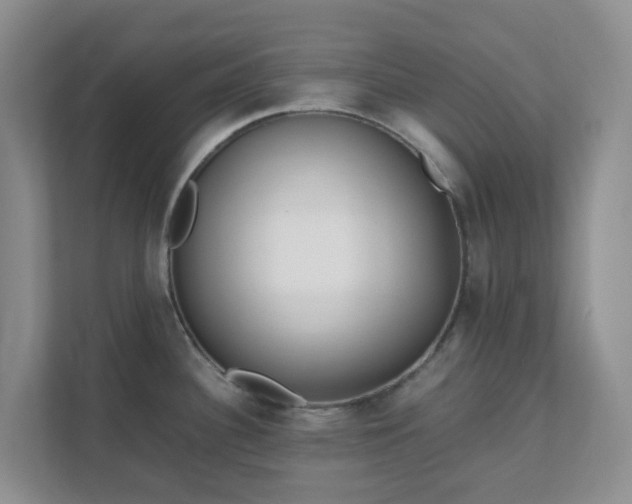 X0000111631340200907241043