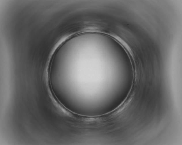 X0000111631341200907241043