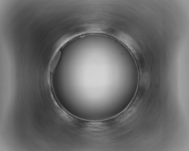 X0000111631342200907241043