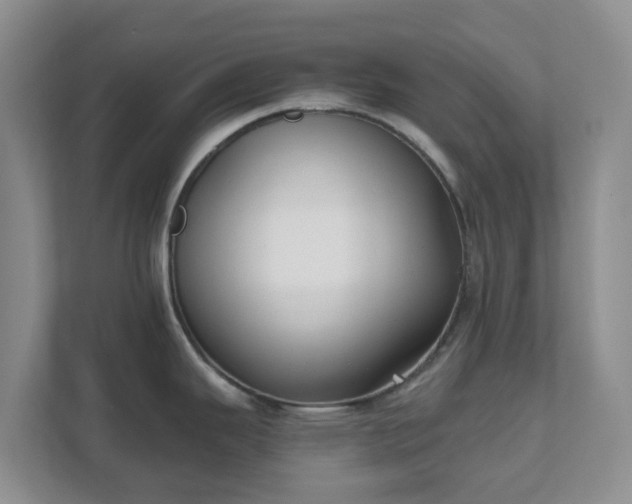 X0000111631343200907241043