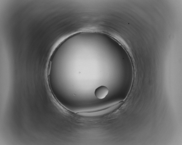 X0000111631344200907241043