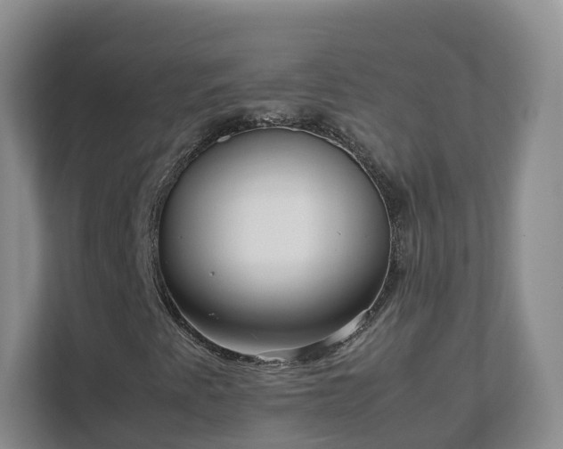 X0000111631345200907241042