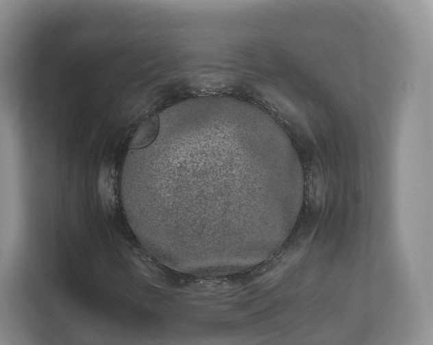 X0000111631346200907241042