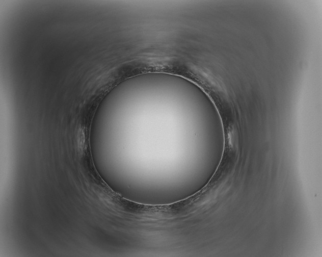 X0000111631347200907241042