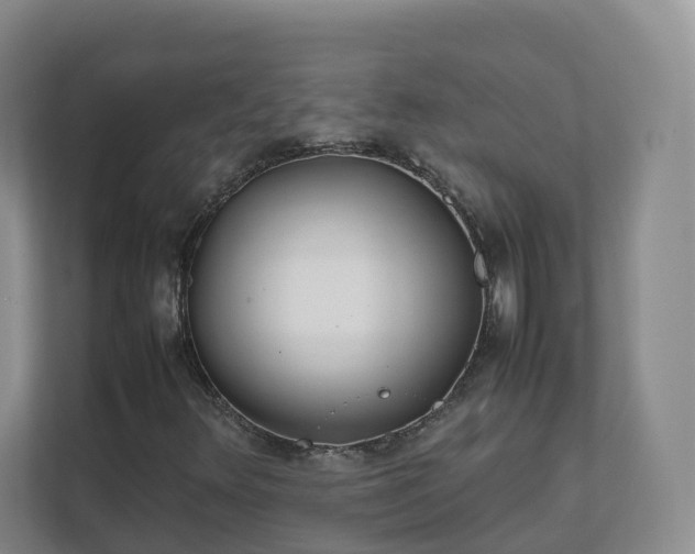 X0000111631348200907241042