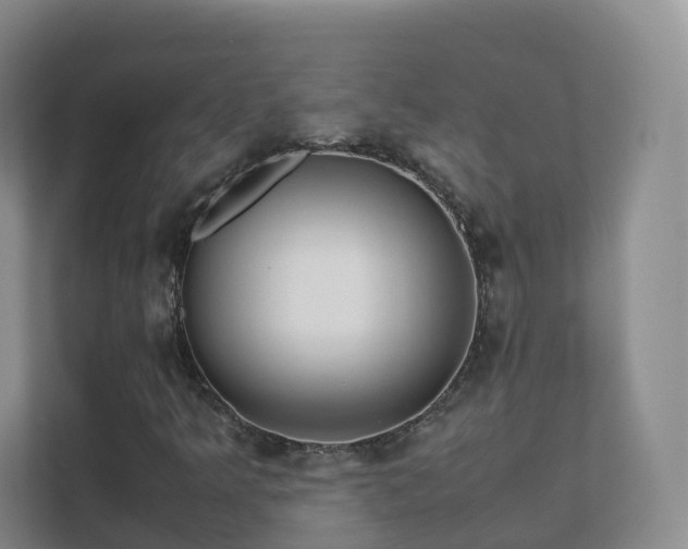 X0000111631349200907241042