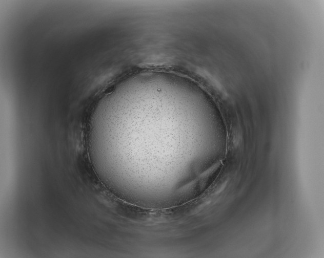 X0000111631350200907241042