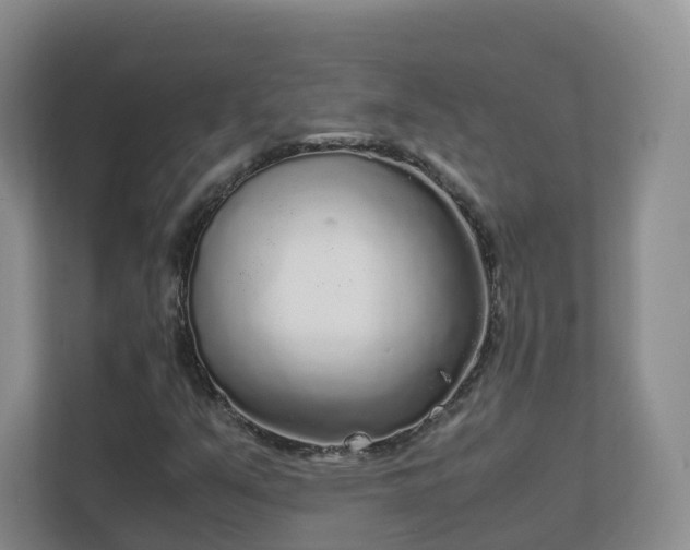 X0000111631351200907241042