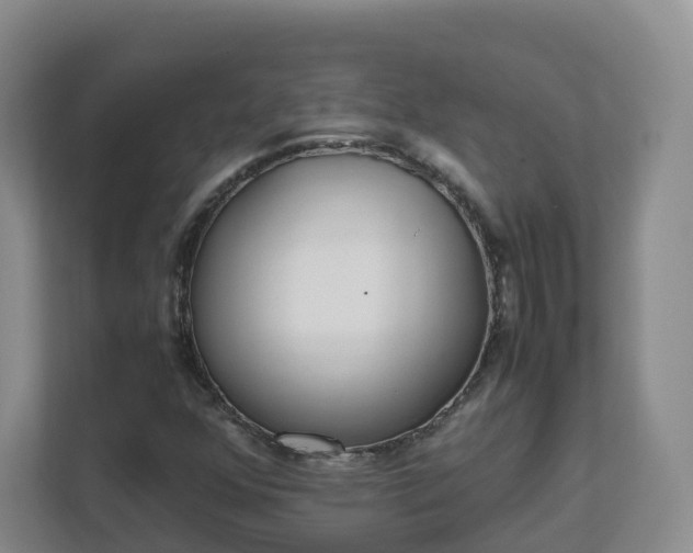 X0000111631352200907241042