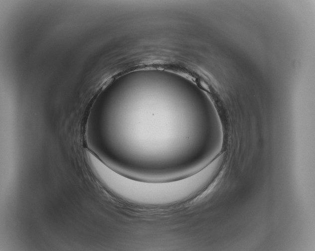 X0000111631353200907241042