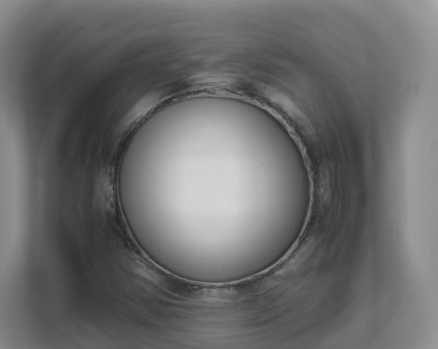 X0000111631354200907241042