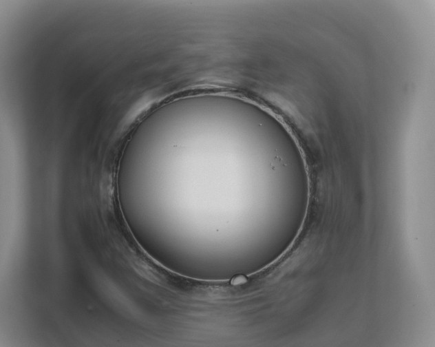 X0000111631355200907241042