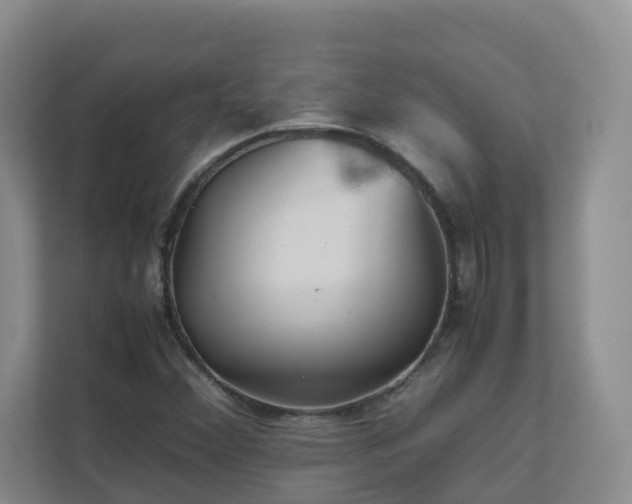 X0000111631356200907241042