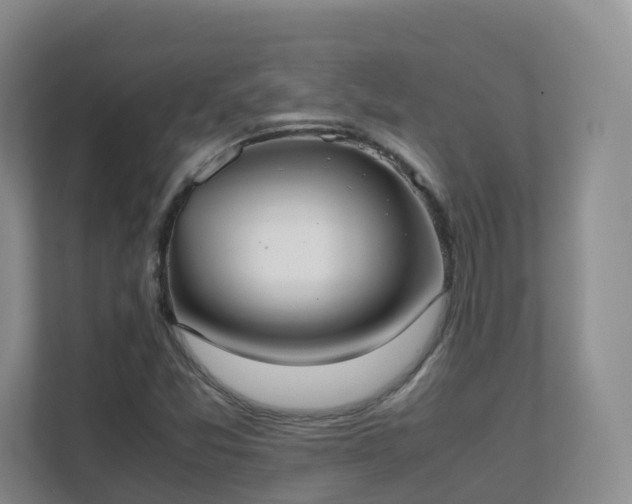 X0000111631357200907241042