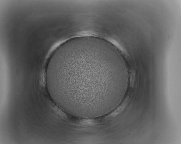 X0000111631358200907241042