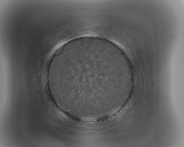 X0000111631359200907241042