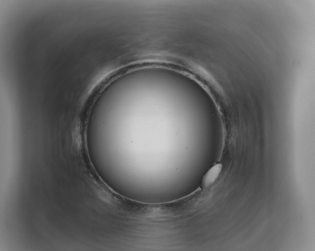 X0000111631360200907241042