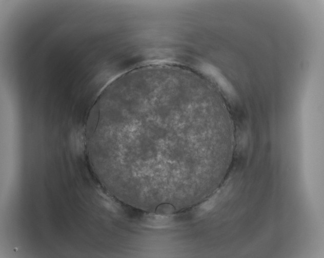 X0000111631361200907241042